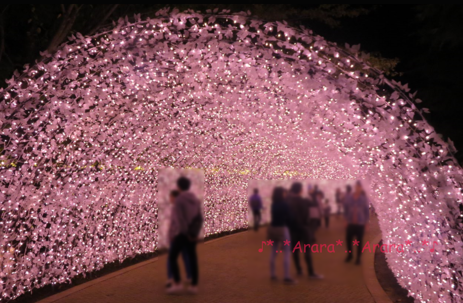 桜をテーマにしたイルミネーションのトンネル