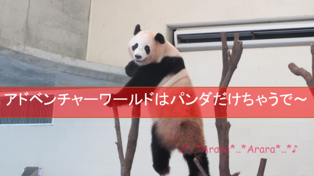 1日じゃ足りひん アドベンチャーワールドで娘がパンダよりハマったもの 気ままママブログ