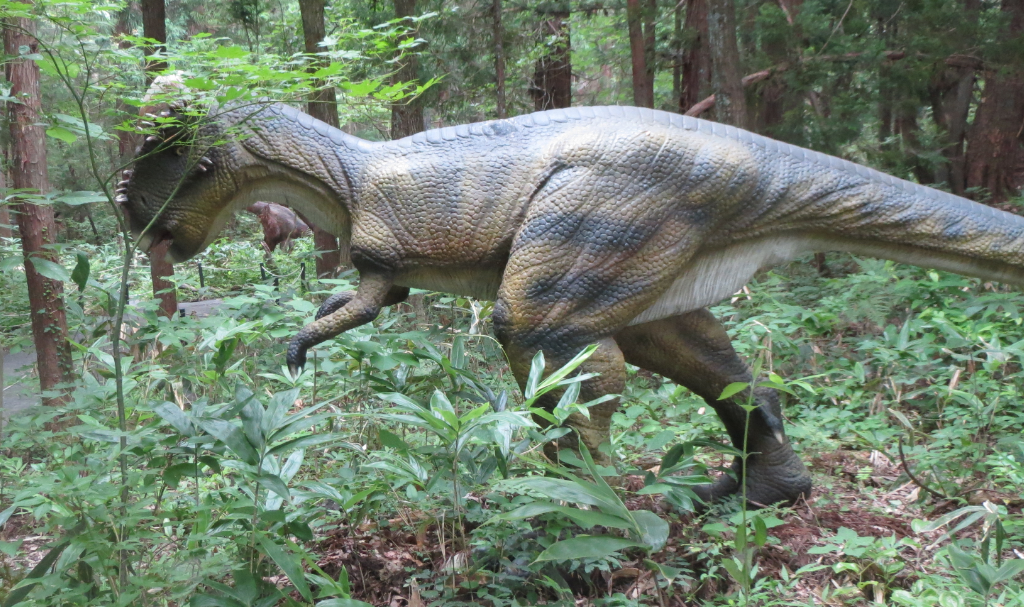 勝山ディノパーク「パキケファロサウルス」画像